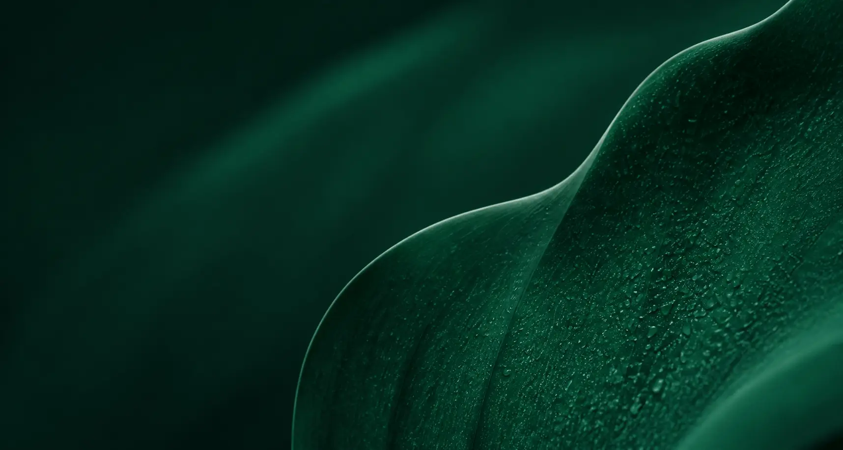 Emerald leaf texture