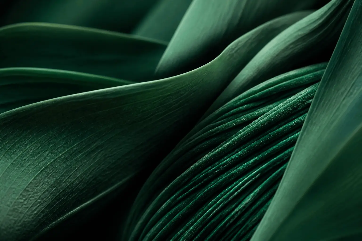 Abstract green texture